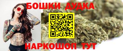 дмт Новодвинск