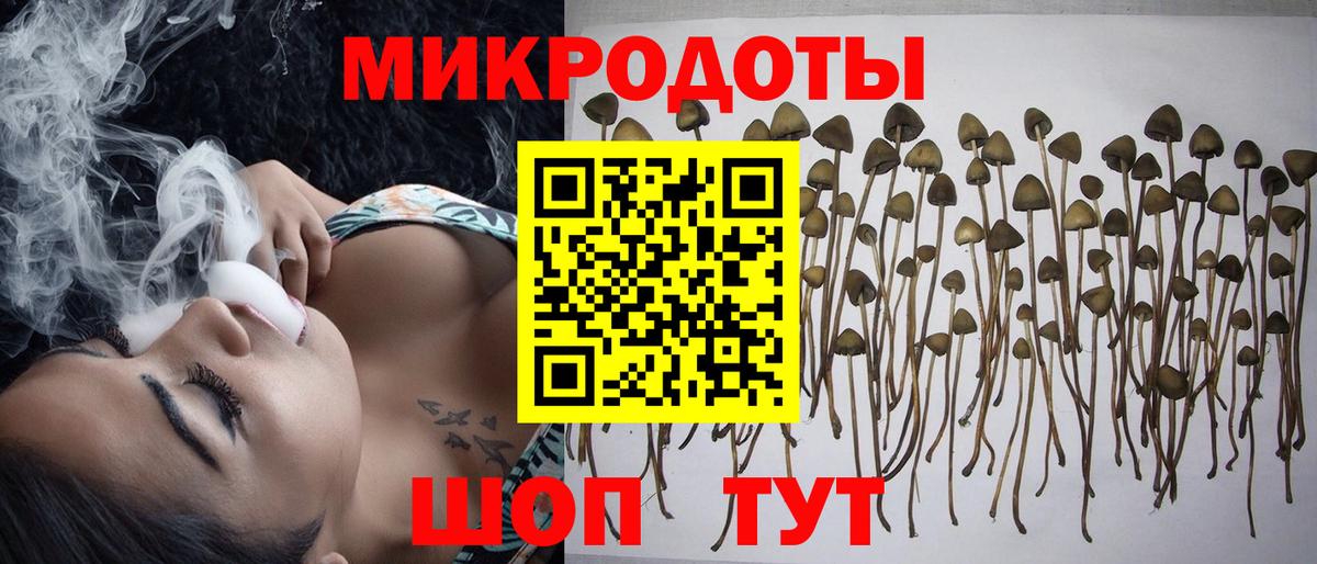 Галлюциногенные грибы Psilocybine cubensis  Вход с VPN  Солнечногорск 